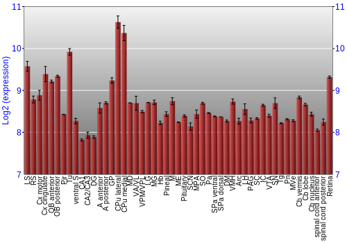 Expression graph