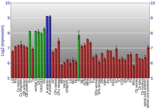 Multi-state expression graph