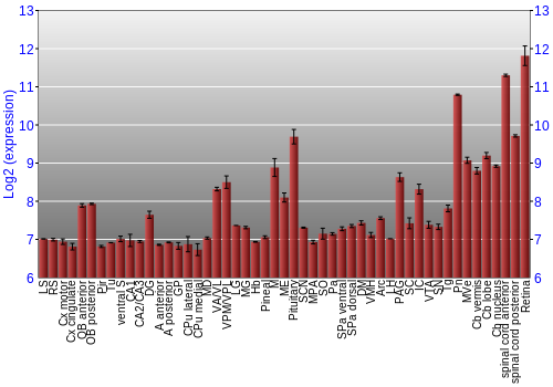 Expression graph
