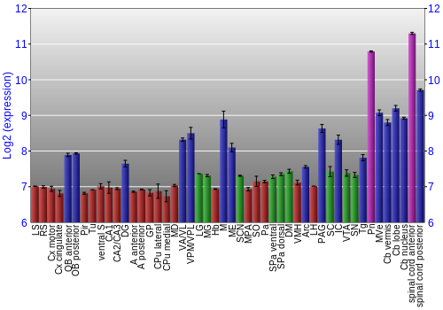 Multi-state expression graph