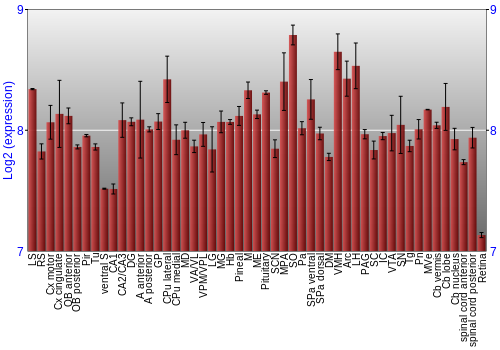 Expression graph