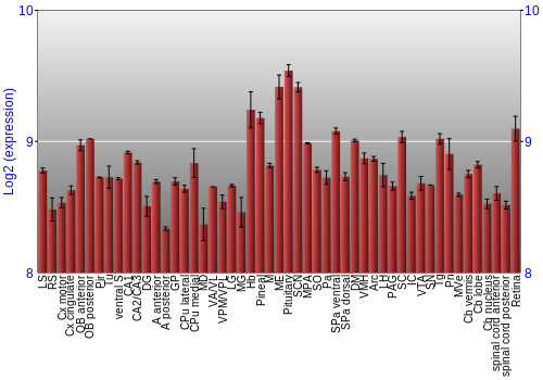 Expression graph