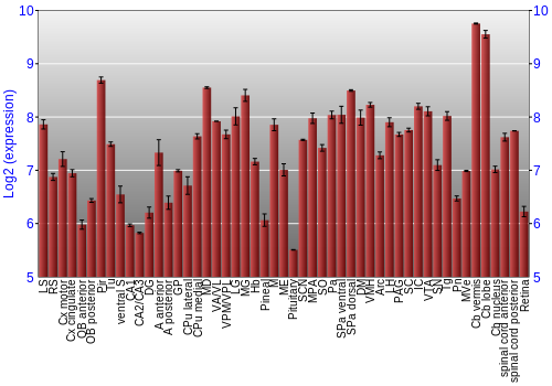 Expression graph