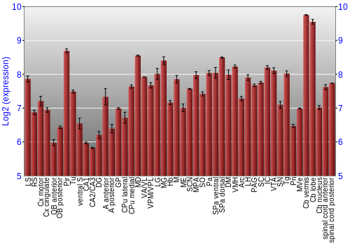 Multi-state expression graph