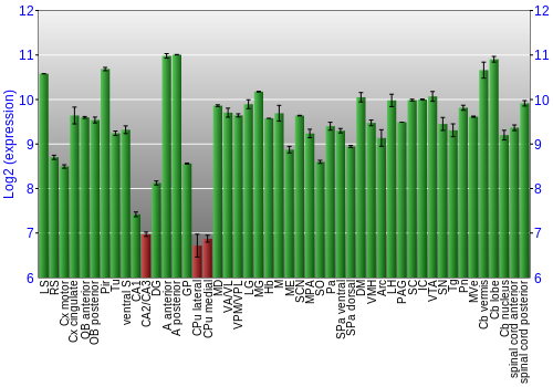 Multi-state expression graph