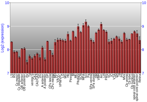 Expression graph