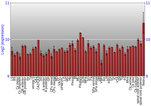 Expression graph