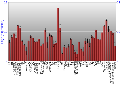 Expression graph