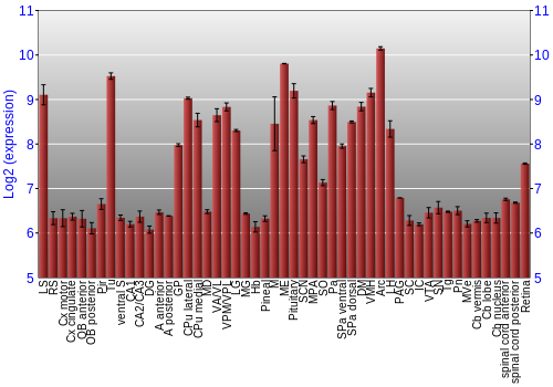 Expression graph