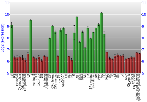 Multi-state expression graph