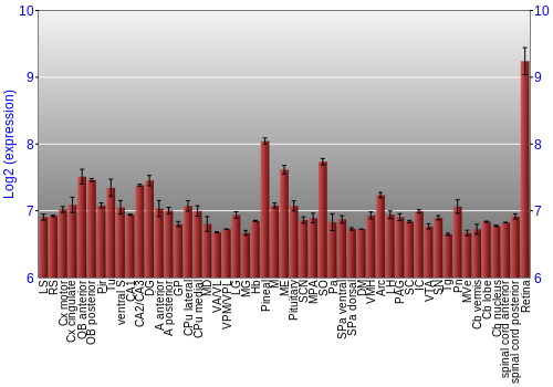 Expression graph