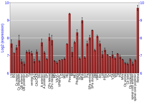 Expression graph