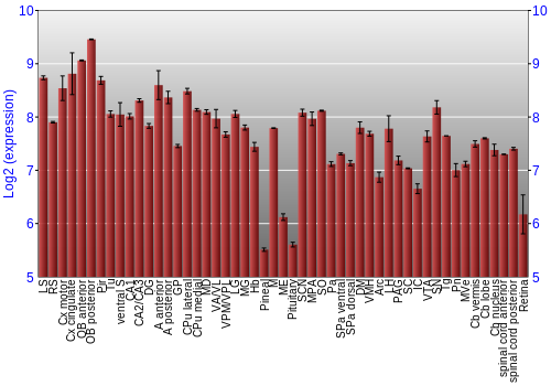 Expression graph