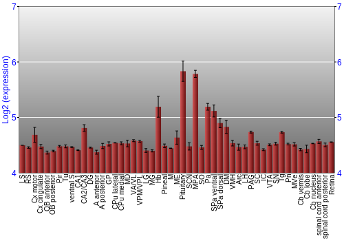 Expression graph