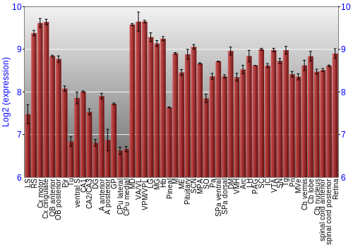 Expression graph