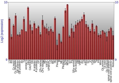 Expression graph