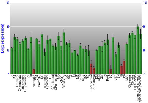 Multi-state expression graph