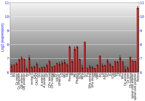 Expression graph