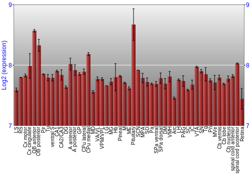 Expression graph