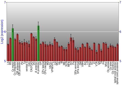 Multi-state expression graph