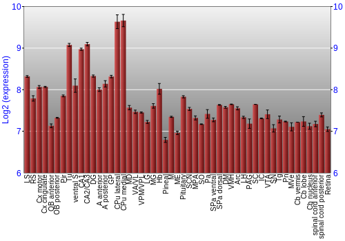 Expression graph