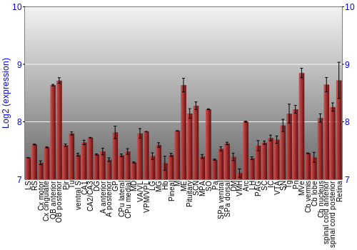 Expression graph