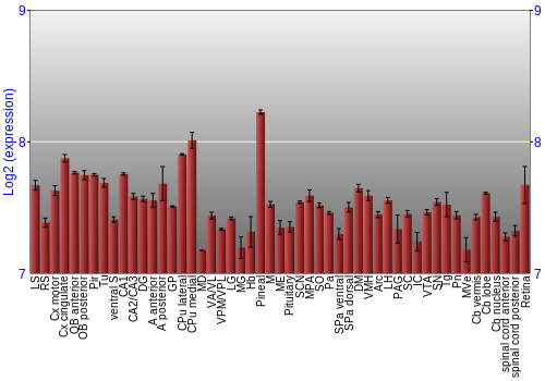 Expression graph