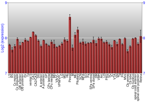Expression graph