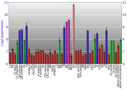 Multi-state expression graph