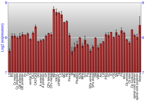 Expression graph