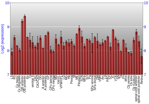 Expression graph
