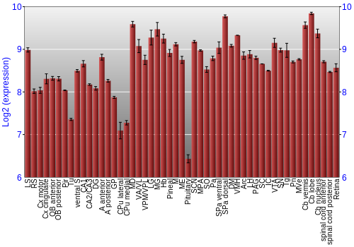 Expression graph