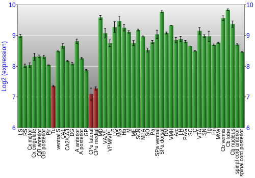 Multi-state expression graph