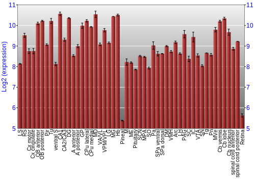 Expression graph