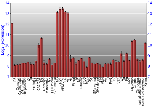 Expression graph