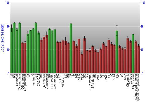 Multi-state expression graph