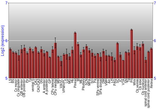 Expression graph