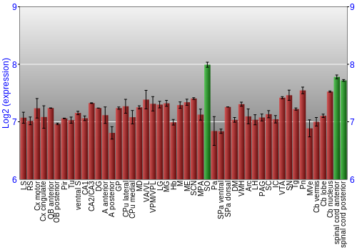 Multi-state expression graph