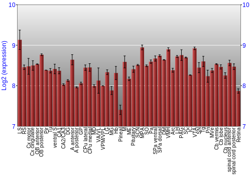 Expression graph