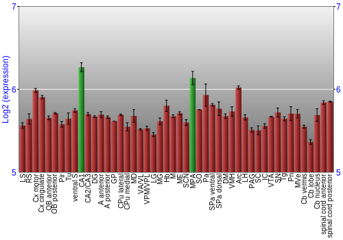 Multi-state expression graph