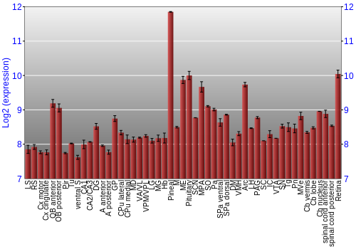 Expression graph