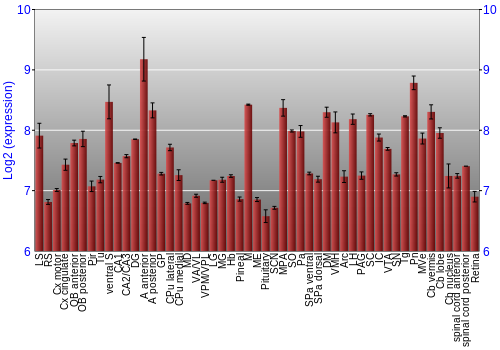 Expression graph