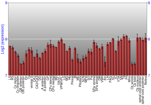 Expression graph