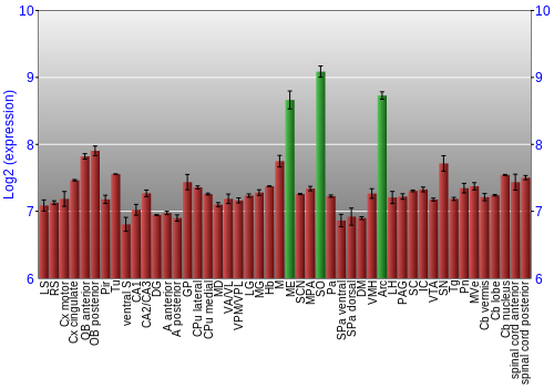 Multi-state expression graph
