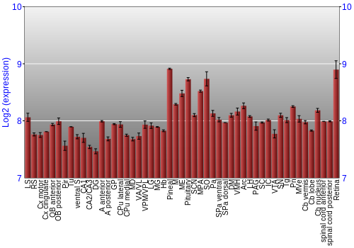 Expression graph