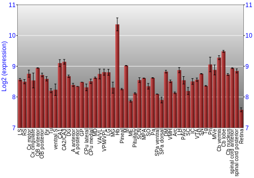 Expression graph