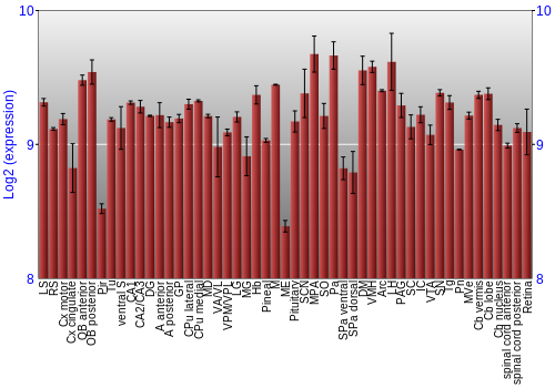 Expression graph
