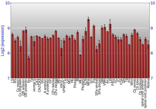 Expression graph