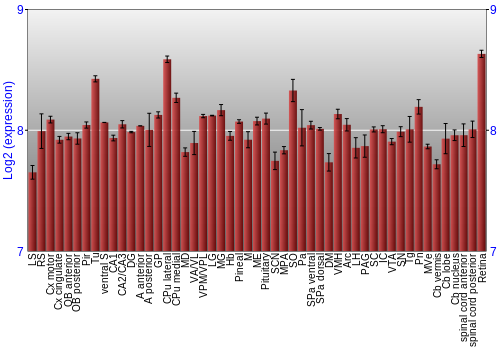 Expression graph