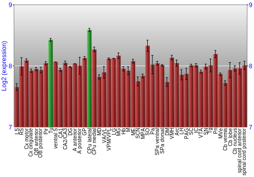Multi-state expression graph